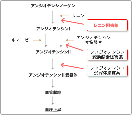 レニン阻害薬開発