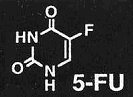 5-フルオロウラシル