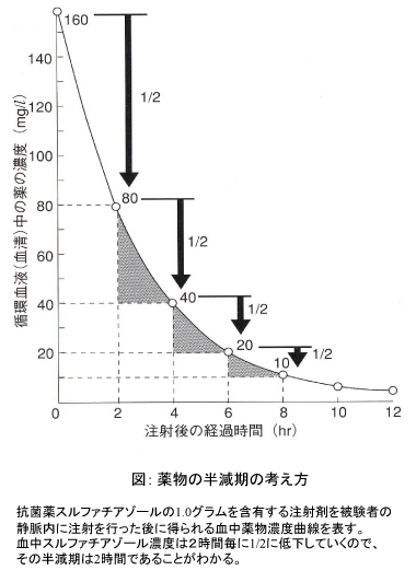 薬物の半減期の考え方